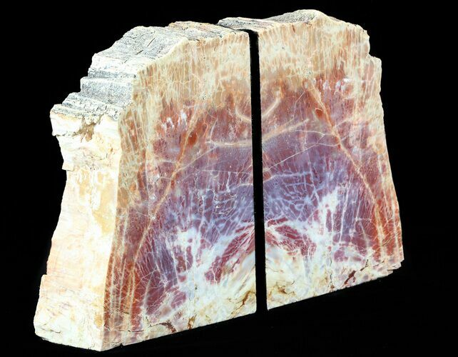 Tall Arizona Petrified Wood Bookends - Salmon Pink #55498